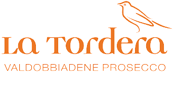 175_600x600